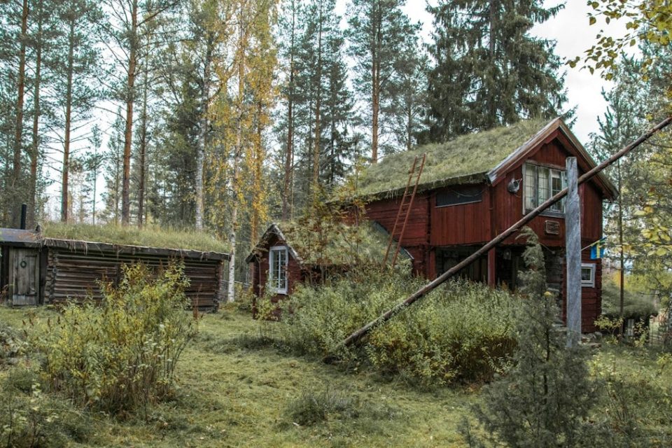 a red house with a grass roof in the woods